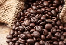 Exploring the World of Coffee Beans: From Farm to Cup Exploring the World of Coffee Beans: From Farm to Cup